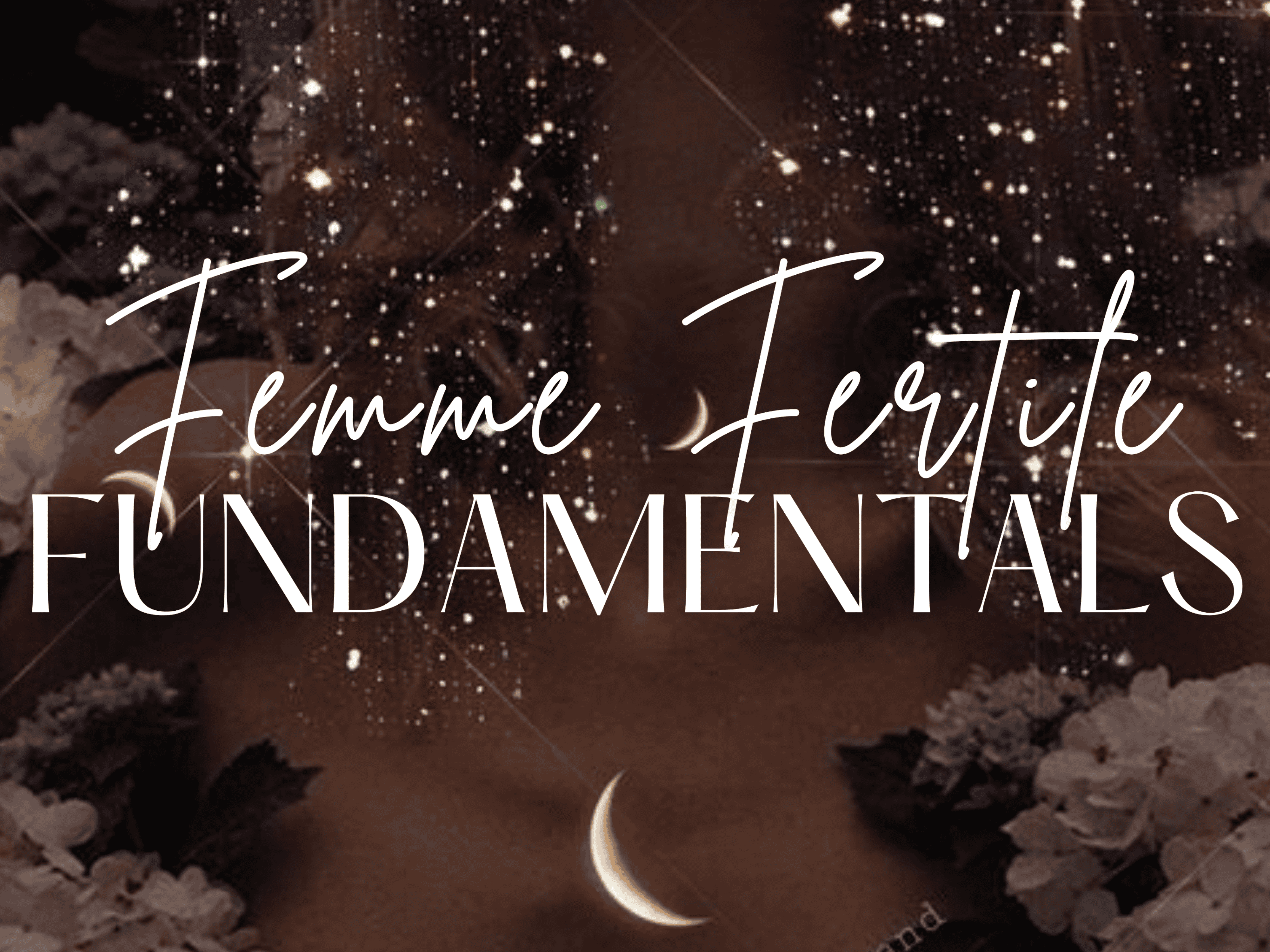 Femme Fertile Fundamentals program
